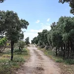 Mas Del Carrascal * Chodos